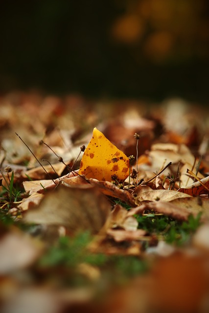 赛已进入白 赛已进入白