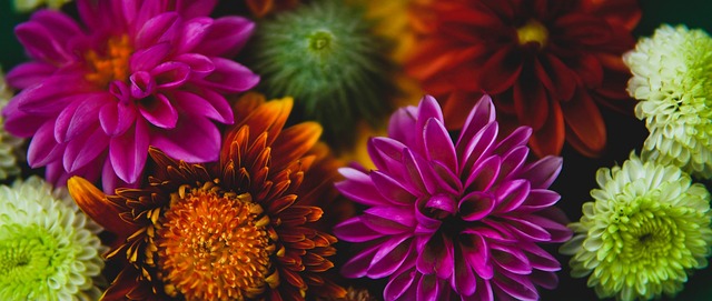 的长期价值 的长期价值