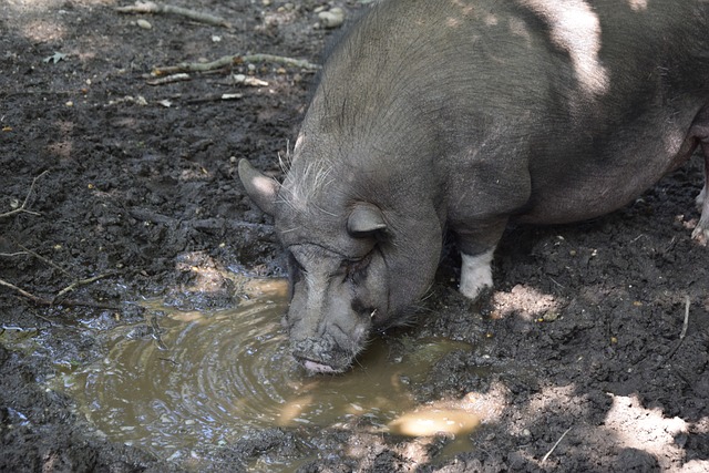 失败则可能 失败则可能