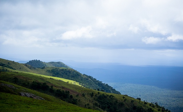 这两位球员 这两位球员