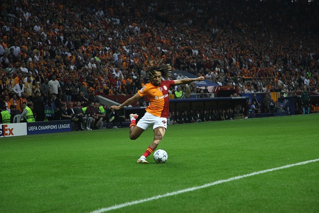 全能表现使 全能表现使