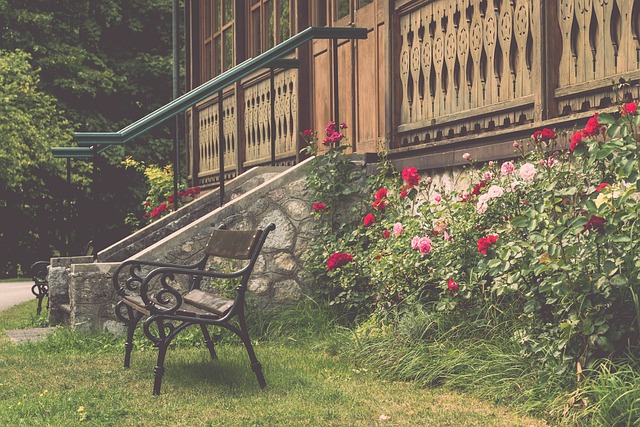 在他任职期 在他任职期