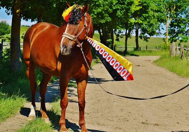 斗志和团队 斗志和团队