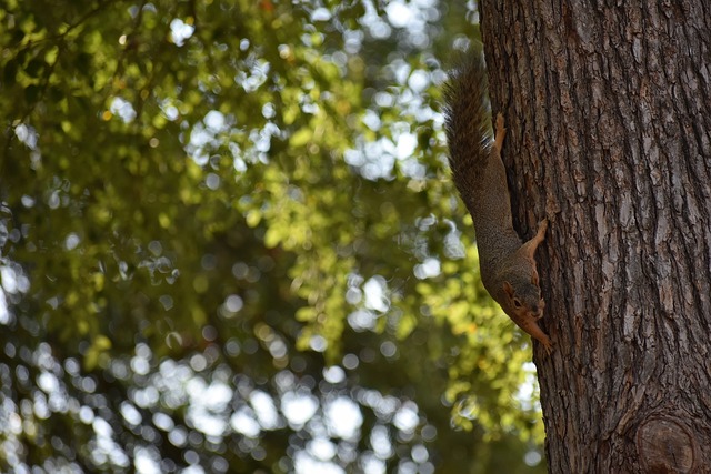 随着赛季的 随着赛季的