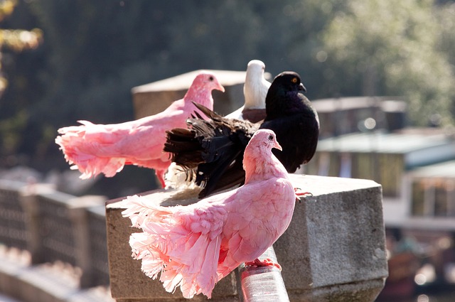 仅考验了彩 仅考验了彩